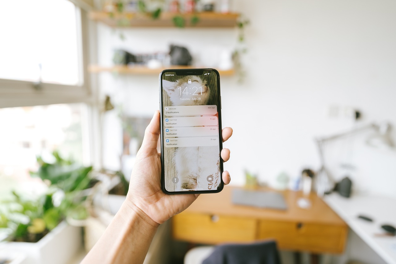 Webshop bouwen in België | Btw en domeinnaam tips 2025